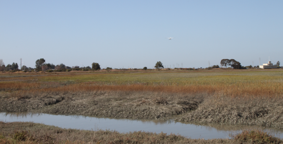 Outdoor spots to visit in Palo Alto: Baylands Nature Preserve