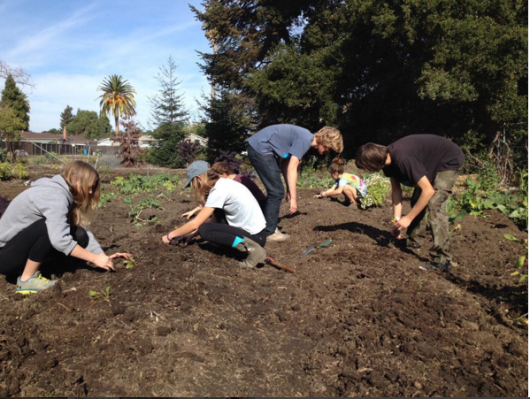 Foothill Middle College students grow plants for Haiti