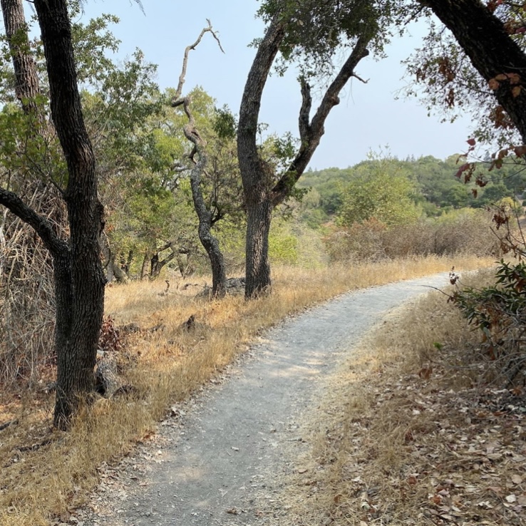 Arastradero Preserve