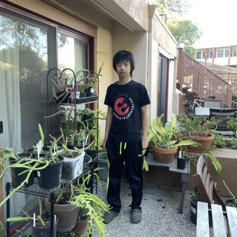 Junior Jerry Wang: Cacti Plants