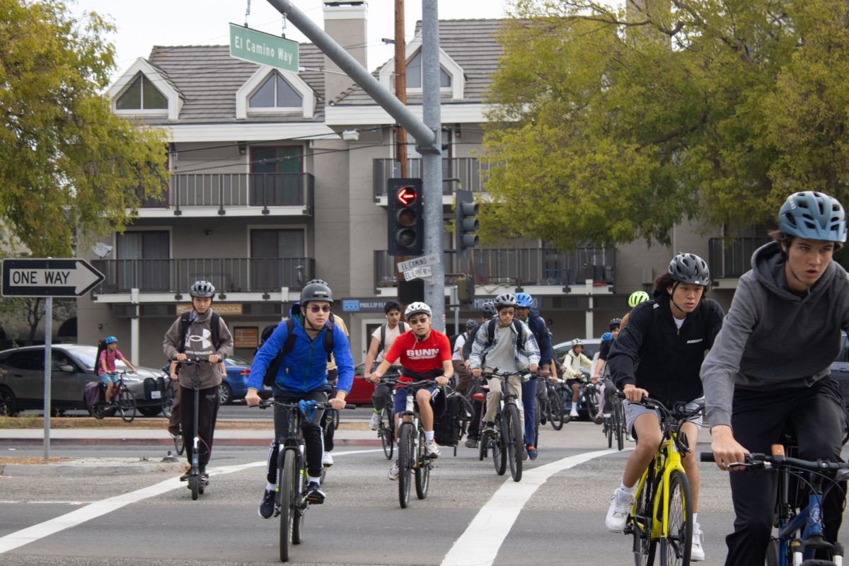 El Camino paving project begins, new improvements to road safety will yield long-term advantages for community