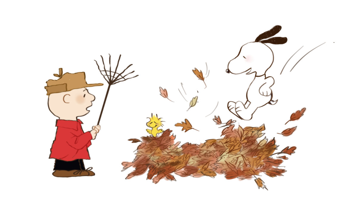 Staffers recommend fall entertainment