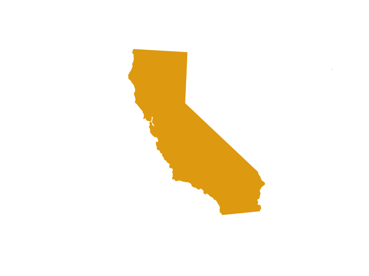 Special Nov. 4 election results shape policies across California