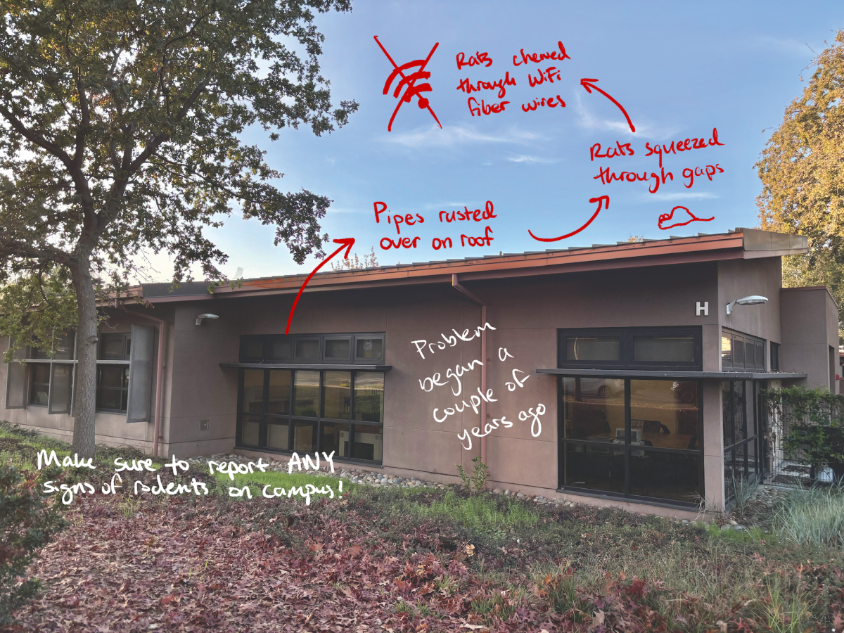Rats residing in H-building cause Wi-Fi mishap, temperature troubles, staff struggles
